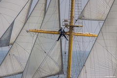 :  1-  SCF Black Sea Tall Ships Regatta 2014
